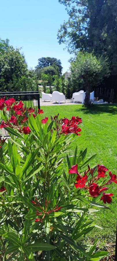 Villa Destiny Nedescina, Istrien, Kroatien Zewnętrze zdjęcie