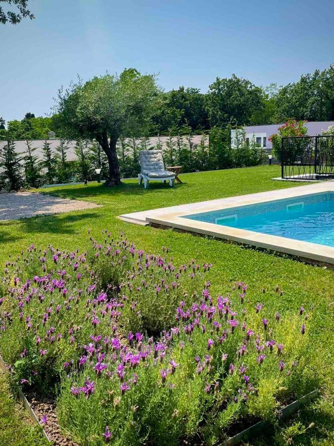 Villa Destiny Nedescina, Istrien, Kroatien Zewnętrze zdjęcie